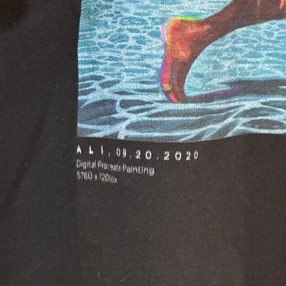 Champion Muhammad Ali Underwater Boxing Graphic T-Shirt Black Mens XL Art Tee - Picture 7 of 7